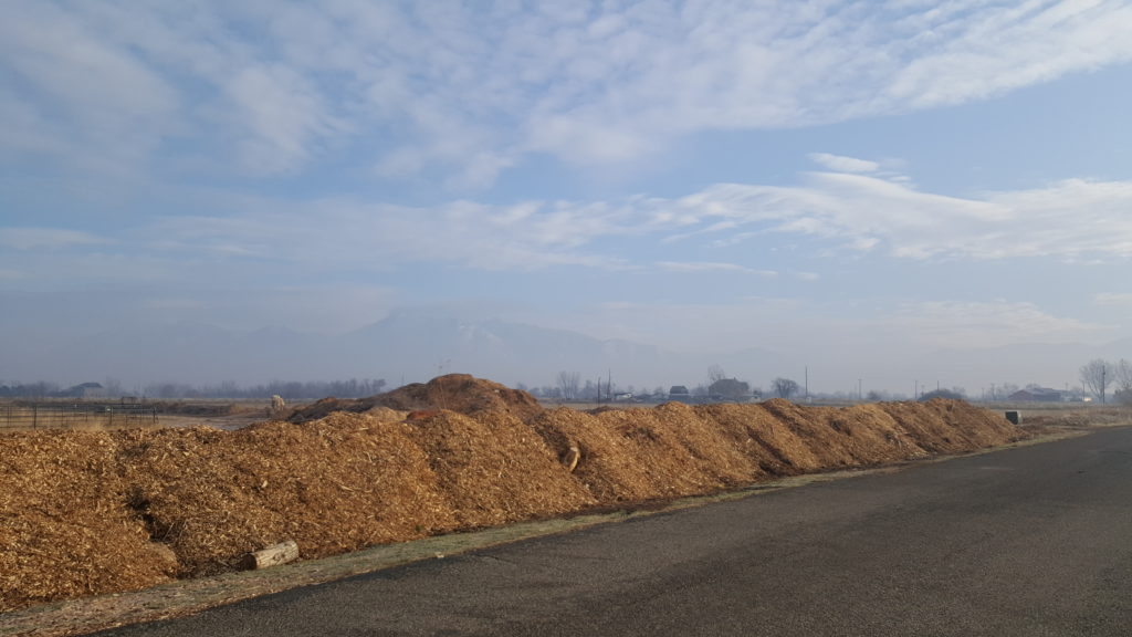 Wood Chips On Hugel Bed